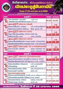 Read more about the article ใบวัว  สนามกีฬาชนโคหนองบัวใหญ่ 29 มกราคม 2568