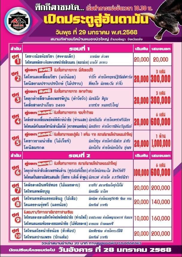 You are currently viewing ใบวัว  สนามกีฬาชนโคหนองบัวใหญ่ 29 มกราคม 2568