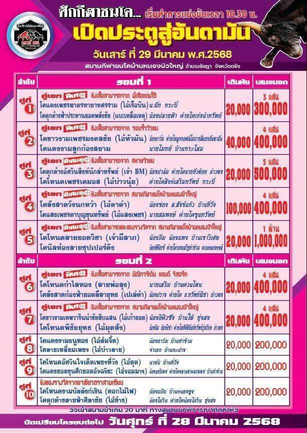 You are currently viewing ใบวัว สนามกีฬาชนโคหนองบัวใหญ่ 29 มีนาคม 2568 รายการวัวชน
