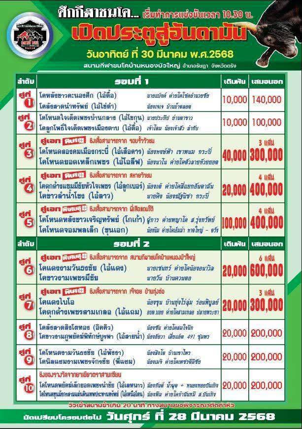 You are currently viewing ใบวัว สนามกีฬาชนโคหนองบัวใหญ่ 30 มีนาคม 2568 รายการวัวชน