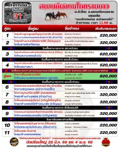 Read more about the article ใบวัว สนามกีฬาชนโคทรายขาว 31 มีนาคม 2568 รายการวัวชน