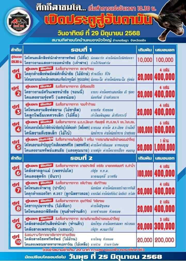 You are currently viewing โปรแกรมวัวชน สนามกีฬาชนโคหนองบัวใหญ่ 29 มิถุนายน 2568 รายการวัวชน