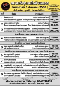 Read more about the article โปรแกรมวัวชน สนามกีฬาชนโค สทิงพระ 5 สิงหาคม 2568 รายการวัวชน