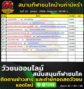 Read more about the article โปรแกรมวัวชน สนามกีฬาชนโคบ้านท่ามิหรำ 22 ตุลาคม 2568 รายการวัวชน