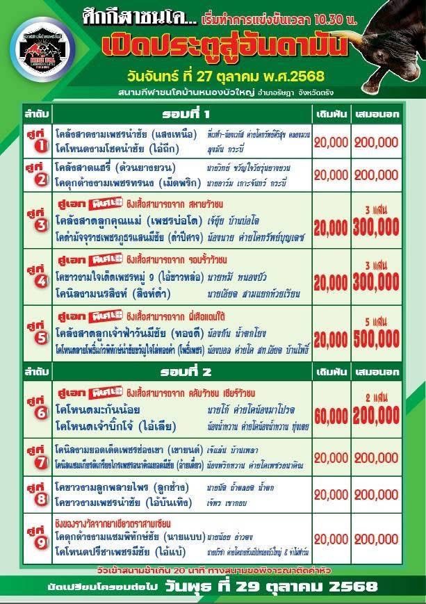 You are currently viewing โปรแกรมวัวชน สนามกีฬาชนโคบ้านหนองบัวใหญ่ 27 ตุลาคม 2568 รายการวัวชน