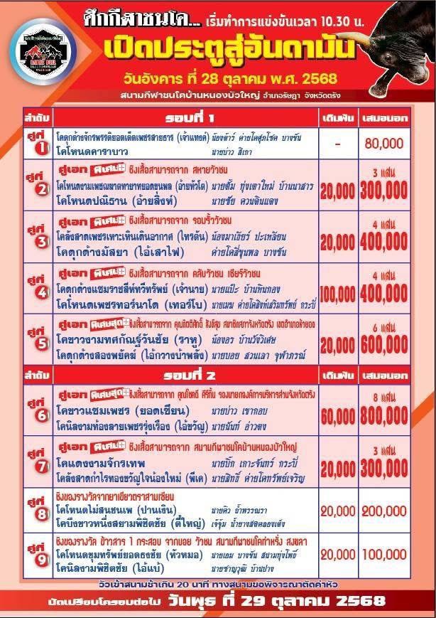 You are currently viewing โปรแกรมวัวชน สนามกีฬาชนโคบ้านหนองบัวใหญ่ 28 ตุลาคม 2568 รายการวัวชน