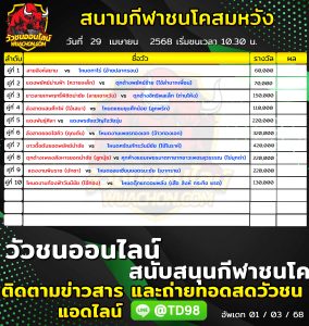 Read more about the article โปรแกรมวัวชน สนามกีฬาชนโคสมหวัง 29 เมษายน 2568 รายการวัวชน
