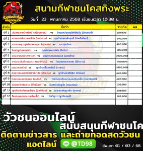 Read more about the article โปรแกรมวัวชน สนามกีฬาชนโคสทิงพระอารีน่า 23 พฤษภาคม 2569 รายการวัวชน