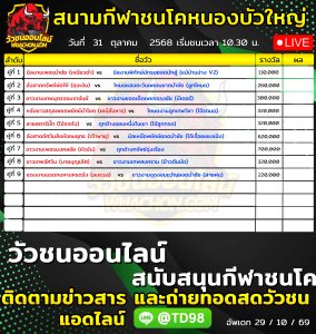 Read more about the article โปรแกรมวัวชน สนามกีฬาชนโคหนองบัวใหญ่ 31 ตุลาคม 2569 รายการวัวชน